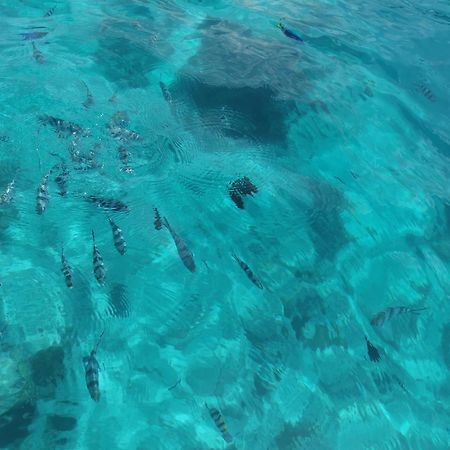 Holiday Time Bungalows Zanzibar Матемве Екстер'єр фото