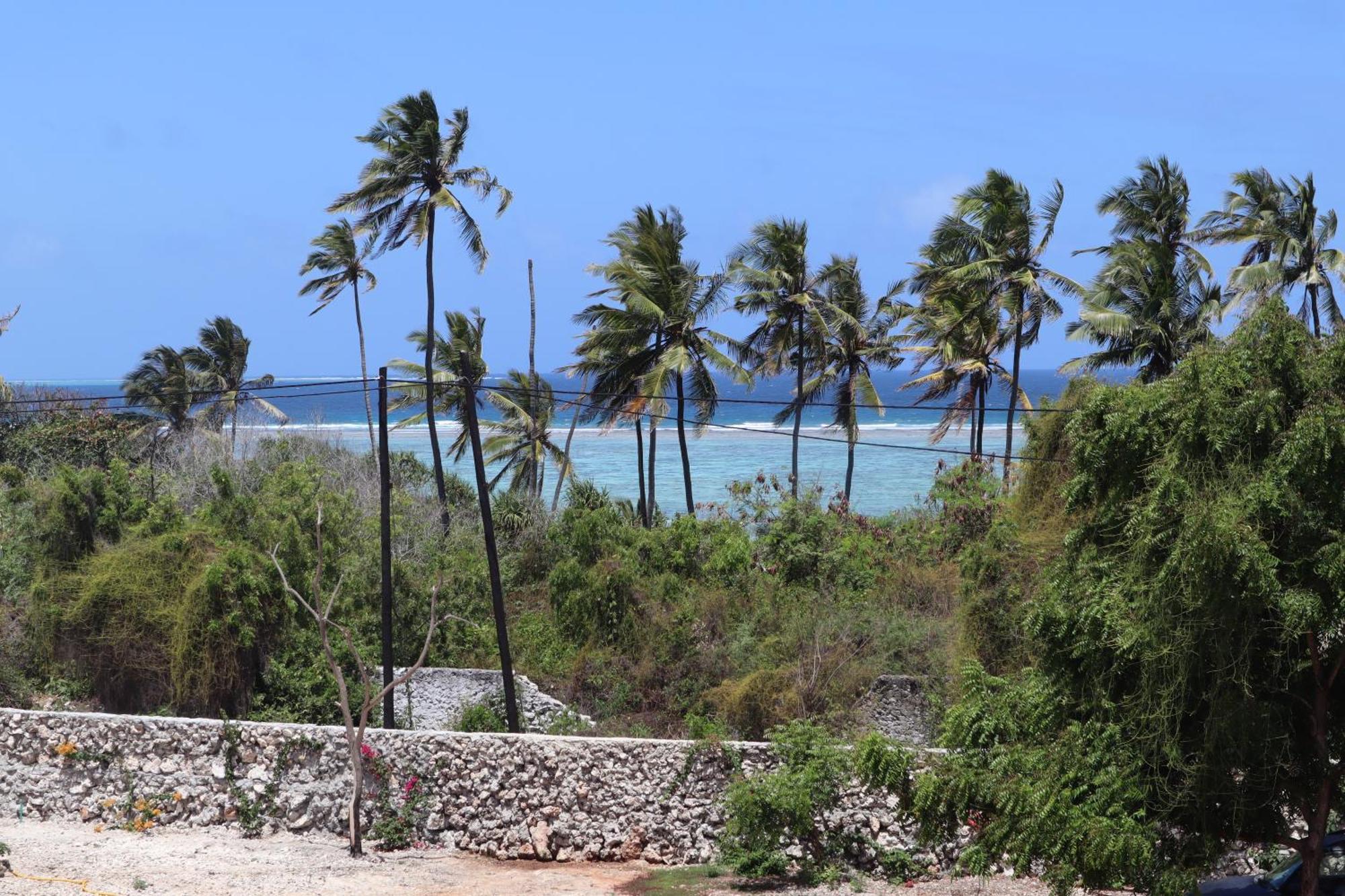 Holiday Time Bungalows Zanzibar Матемве Екстер'єр фото